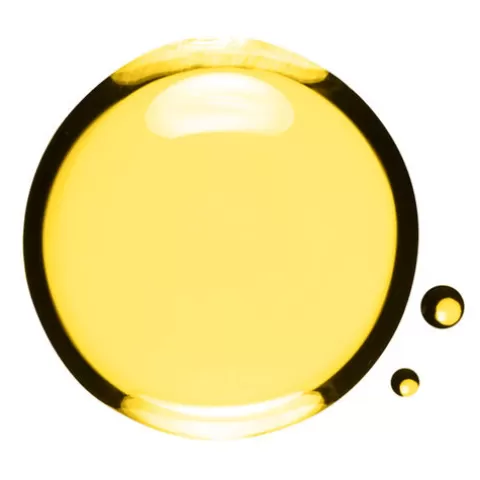 Clarins Bad & Douche | Nourishing Beauty Hair Oil